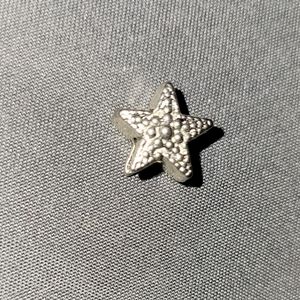 Pandora starfish charm (not real)